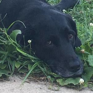 Meet your Posher, Dena